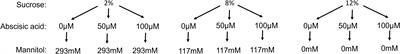 Exogenous abscisic acid and sugar induce a cascade of ripening events associated with anthocyanin accumulation in cultured Pinot Noir grape berries